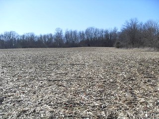 Property photo 2 - OHIO LAND AUCTION, 136+/- Acres offered in 4 Tracts from 7 to 72 Acres